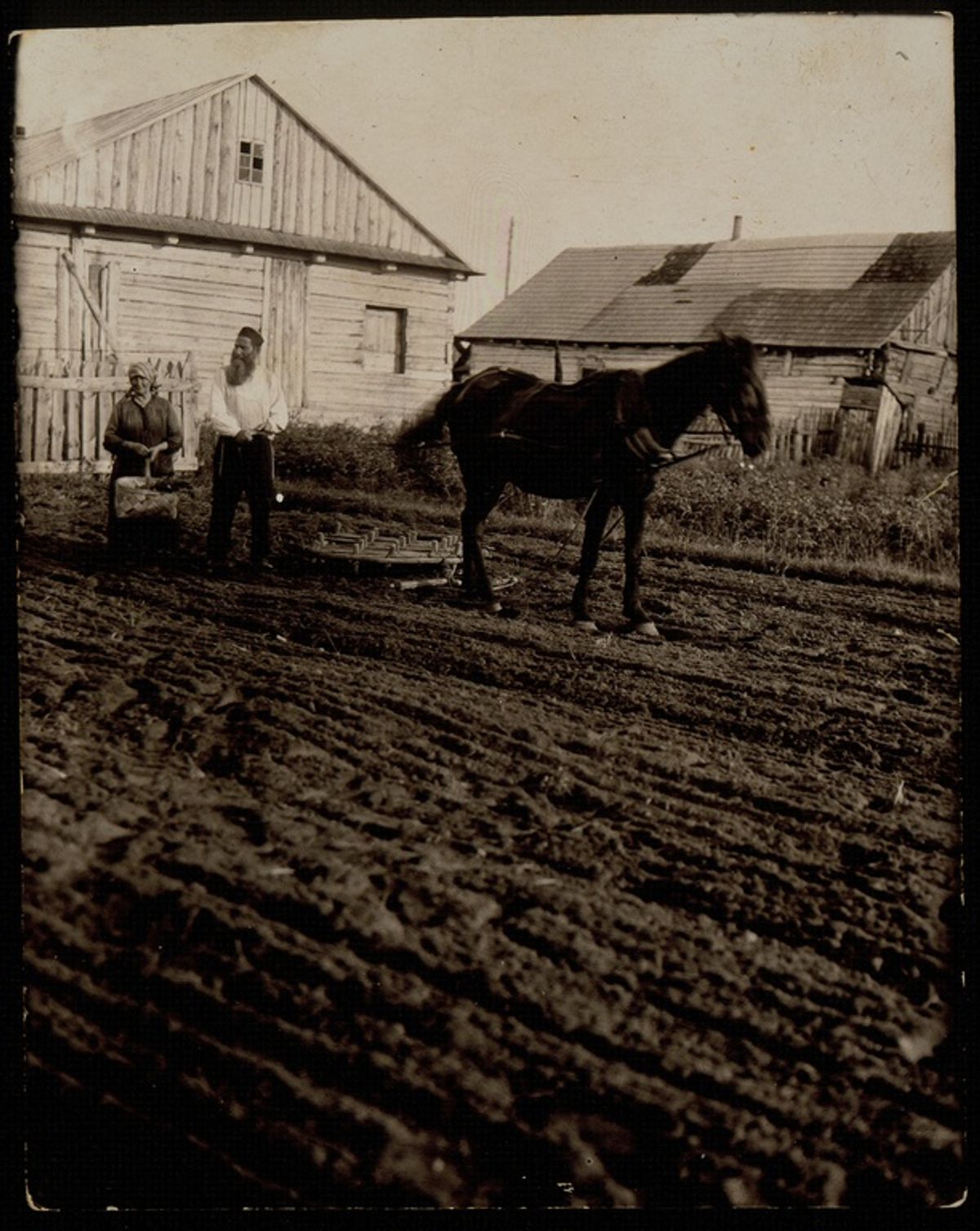 Daržovių užkalbėtojas