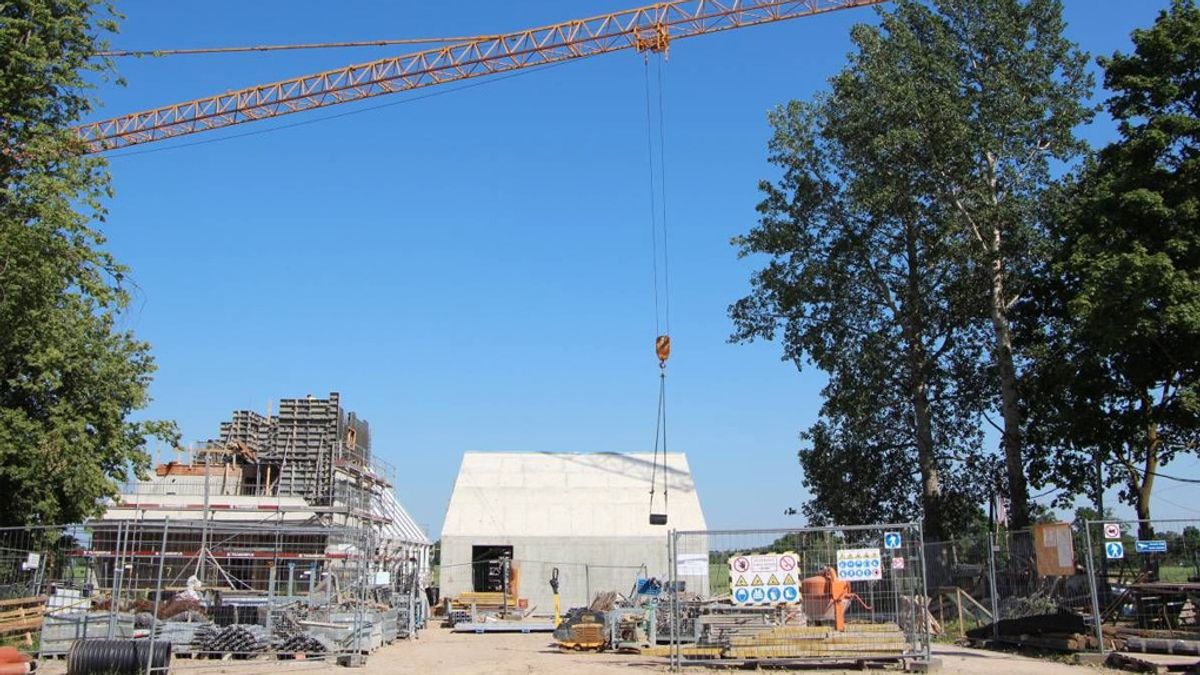 Muziejus – jau kyla