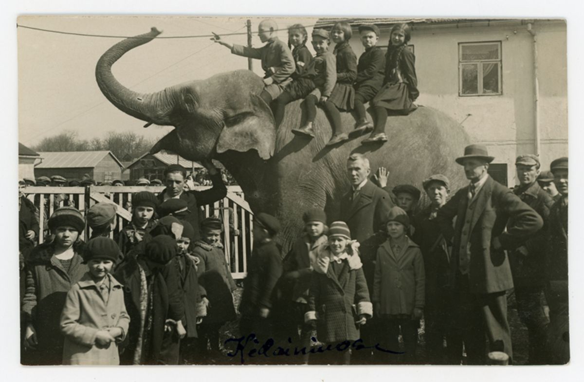 Konrad Circus in Kėdainiai. 1931. Courtesy of Kėdainiai Regional Museum.